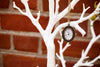 _MG_5714-3058616852-O.jpg
