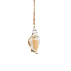 Real smooth Conch Shell Necklace with gold trim on a white backdrop