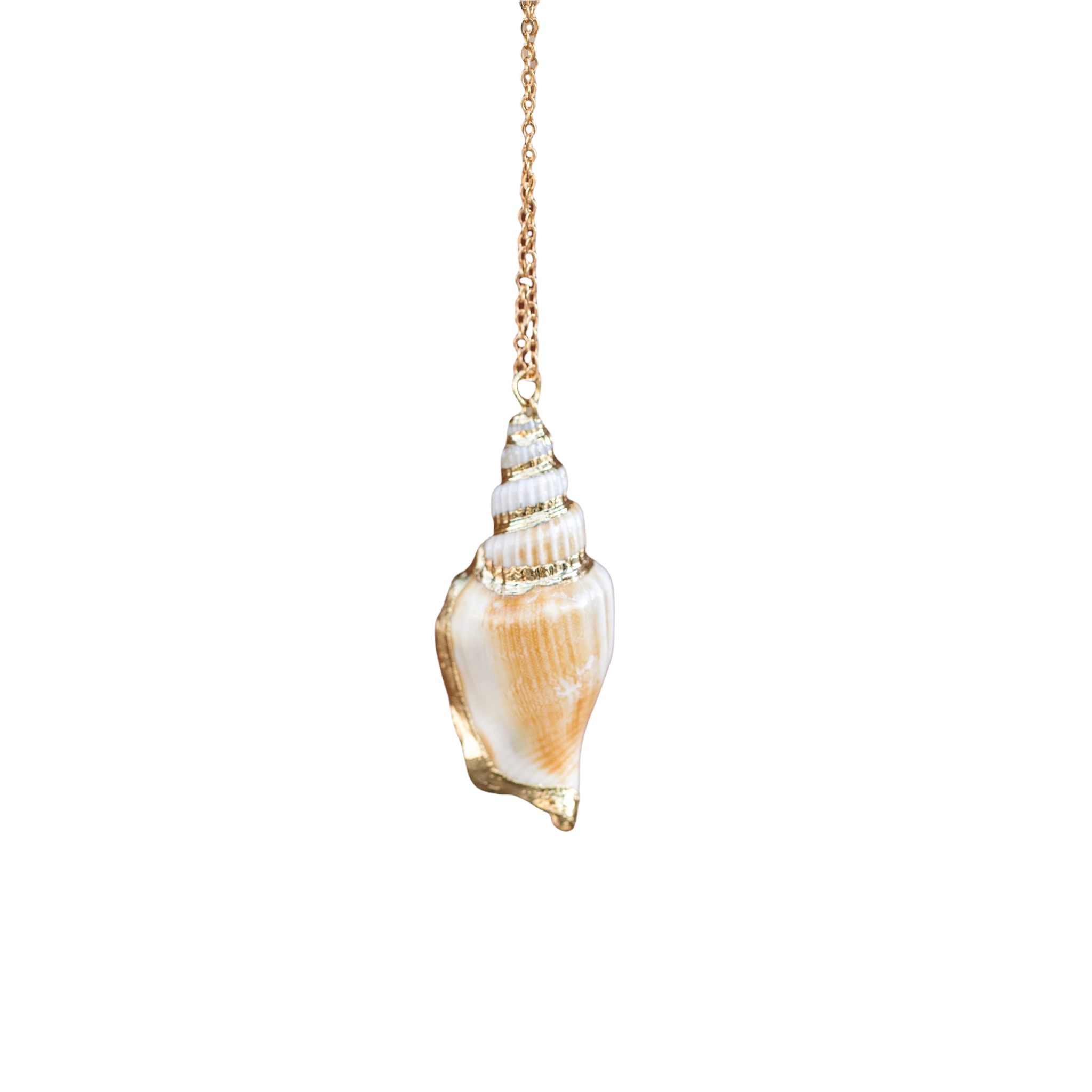 Real Conch Shell Necklace Adorned by Aisha