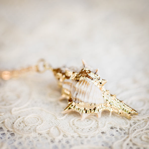 real conch shell necklace with gold accents