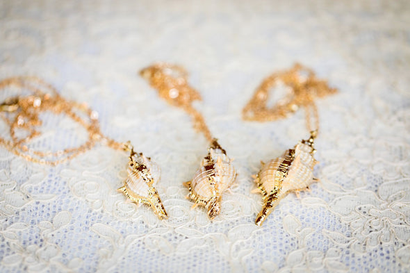 Real Conch Shell Necklace collection of three on lace background